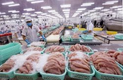 Nghịch lý tiêu chuẩn kép nông sản Việt- Thủy sản lép vế trên sân nhà