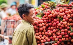 “Hải Phòng mới” và cơ hội vàng xuất khẩu nông – thủy sản sang Trung Quốc