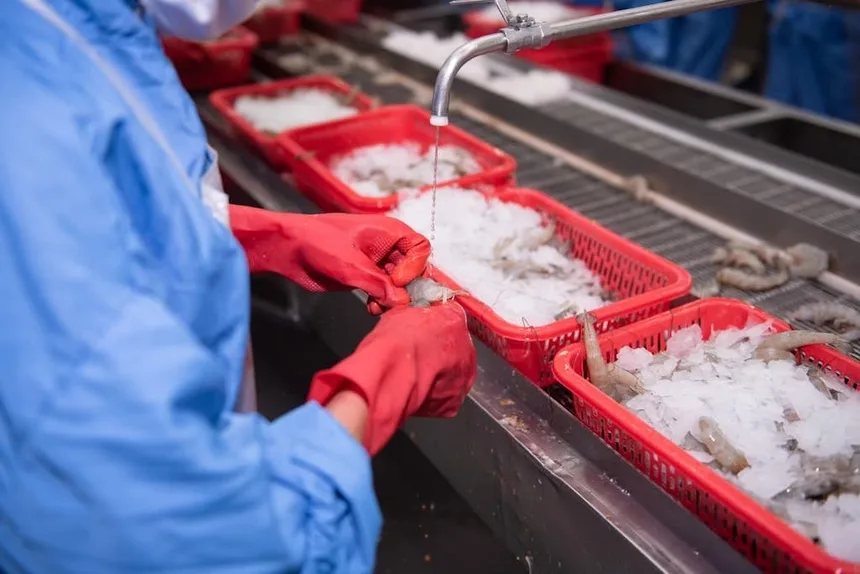 VASEP kiến nghị tháo gỡ hàng loạt vướng mắc về thuế GTGT cho doanh nghiệp thủy sản