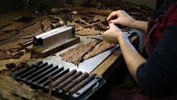 Một mặt hàng đóng góp lớn vào GDP của Cuba khiến thế giới 