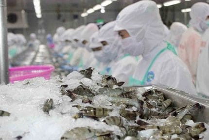 Xuất khẩu tôm 7 tháng đầu năm: Tăng tốc ở châu Á, chịu sức ép lớn từ Mỹ