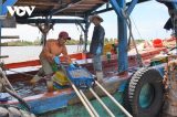 Cà Mau tăng cường quản lý chất lượng thủy sản