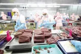 Ngành thủy hải sản Việt Nam choáng váng trước quyết định của Mỹ