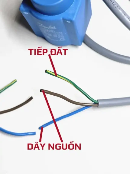 Nối dây coil BF