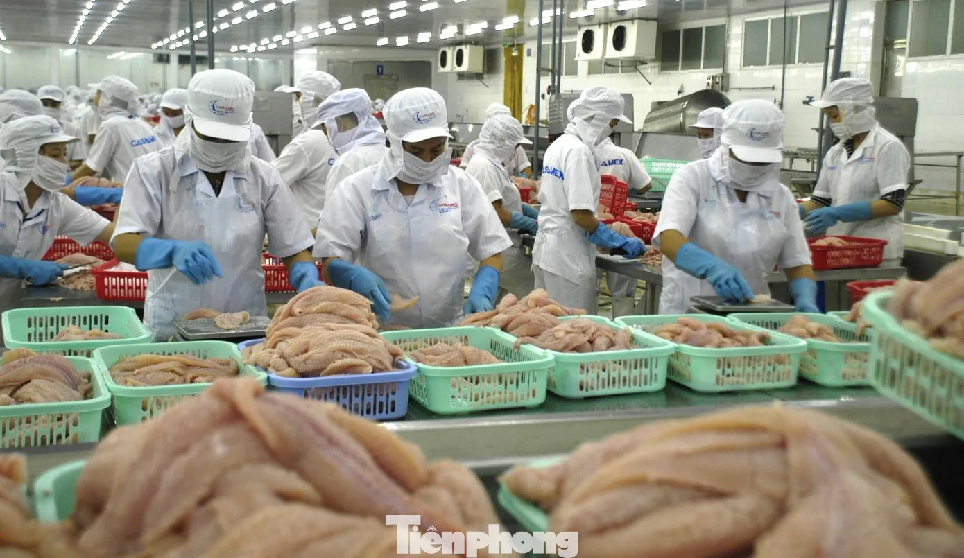 Cá tra Việt Nam mở thêm cơ hội tại Nhật Bản và các thị trường CPTPP