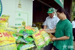 Xuất khẩu gạo của Việt Nam 8 tháng năm 2025 - Vì sao xuất nhiều, được ít?