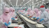 COFIDEC xanh hóa sản xuất, vươn tầm thủy sản Việt