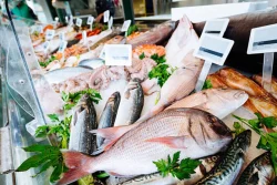 Xuất khẩu thủy sản sang Mỹ lại gặp khó