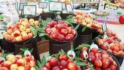 Rau quả Mỹ và Chi Lê nhập khẩu về Việt Nam bất ngờ tăng mạnh