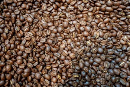 Cà phê Lâm Đồng được chứng nhận Chỉ dẫn địa lý