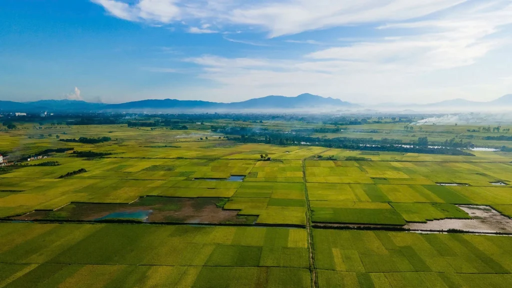 Hà Nội tập trung phát triển nông sản có tiềm năng xuất khẩu