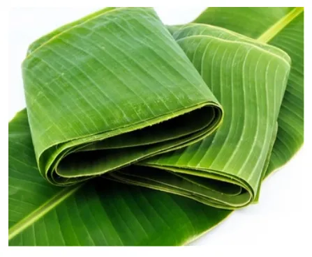 Lá cây xuất khẩu: khi nông sản Việt biết làm mới mình