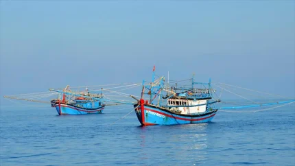 Thủ tướng yêu cầu tập trung thực hiện tháng cao điểm chống khai thác hải sản bất hợp pháp