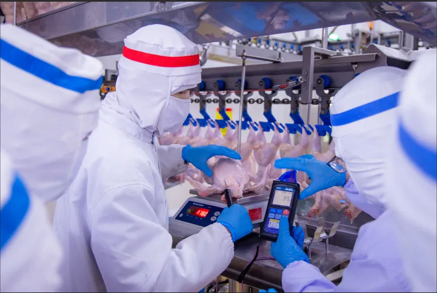 Người Nhật Bản chuộng thịt gà chế biến của Việt Nam