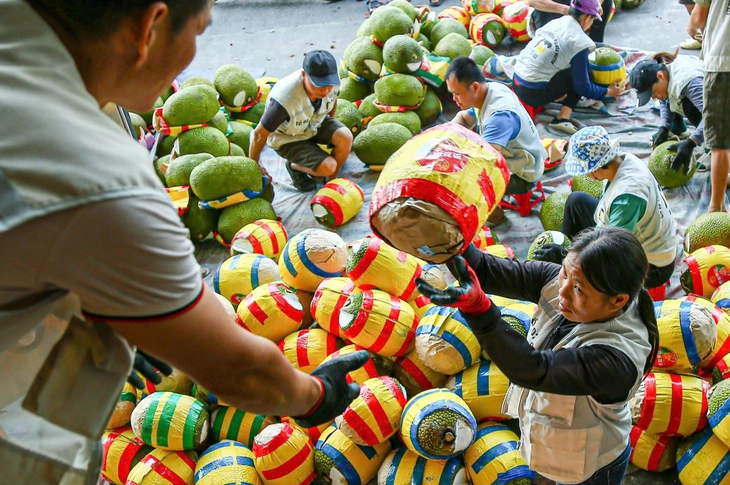 Ký nghị định thư xuất khẩu mít tươi sang Trung Quốc