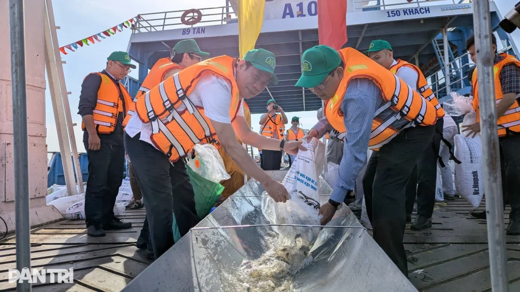 ĐBSCL thả hơn 2 tấn cá giống quý hiếm, tái tạo nguồn lợi thủy sản