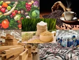 Cà phê, rau quả và thủy sản dẫn đầu tăng trưởng xuất khẩu nông sản Việt Nam