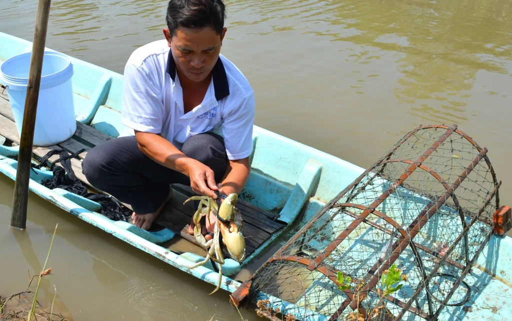 Cà Mau phát triển vùng nguyên liệu cua biển xuất khẩu sang Trung Quốc