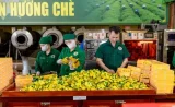 Tăng truy xuất nguồn gốc, nâng giá trị nông sản xuất khẩu