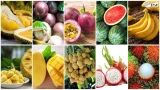 Sau “trái cây vua”, bất ngờ với loại quả đứng thứ 2 về kim ngạch xuất khẩu