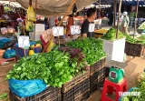 Rau củ tăng giá, trái cây dội chợ