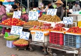 Xuất khẩu tăng tốc, vì sao giá rau quả giảm mạnh?