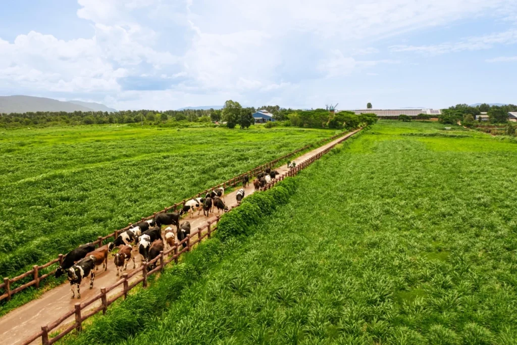 Đẩy mạnh truy xuất nguồn gốc để hàng Việt đạt chuẩn yêu cầu xuất khẩu