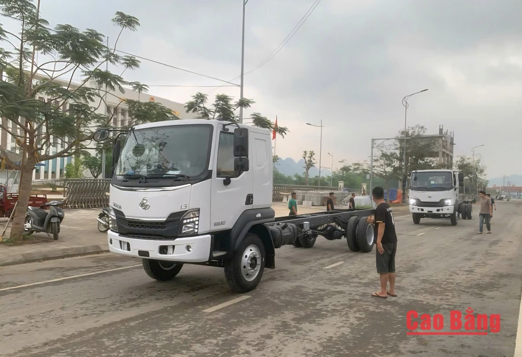 Kim ngạch xuất nhập khẩu qua Cửa khẩu Quốc tế Tà Lùng đạt hơn 361 triệu USD