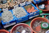 Hàn Quốc lo ngại ngành khai thác thủy sản chịu thiệt hại nếu gia nhập CPTPP