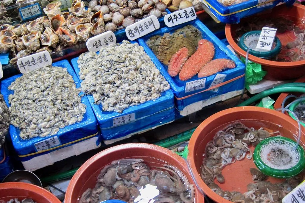 Hàn Quốc lo ngại ngành khai thác thủy sản chịu thiệt hại nếu gia nhập CPTPP